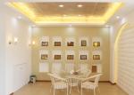 Residential Metal Artistic Ceiling Tiles , Ceiling Decorative Panel for Home
