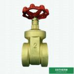 3 Inch Flexible Brass Gate Valve With Plastic Ppr Part PN25