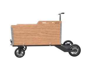 China 25° Climbing Manual Control 300KG Tricycle Cargo Scooter For Family factory