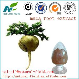 China maca extract factory