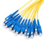 Data Center MPO Breakout Cable 12 Fibers With A 2.0mm Single Mode 9/125 OFNP