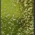 Green Glass Mosaic Tile Kitchen Backsplash For Kitchens Metallic 15x148mm