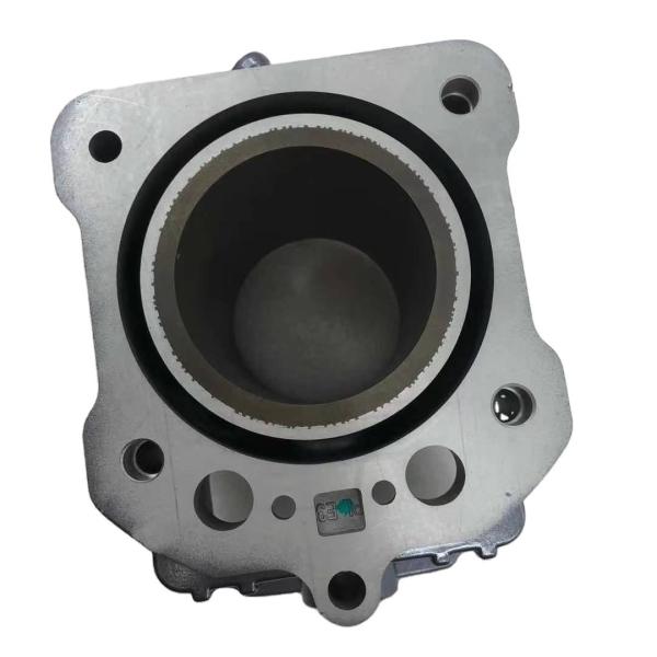Motorcycle Engine Spare Parts Complete Cylinder Head for DAYANG CG250 Gasoline