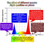 18W T8 LED Grow Tube Light 2ft 4ft Red Blue Full Spectrum LED Plant Light For