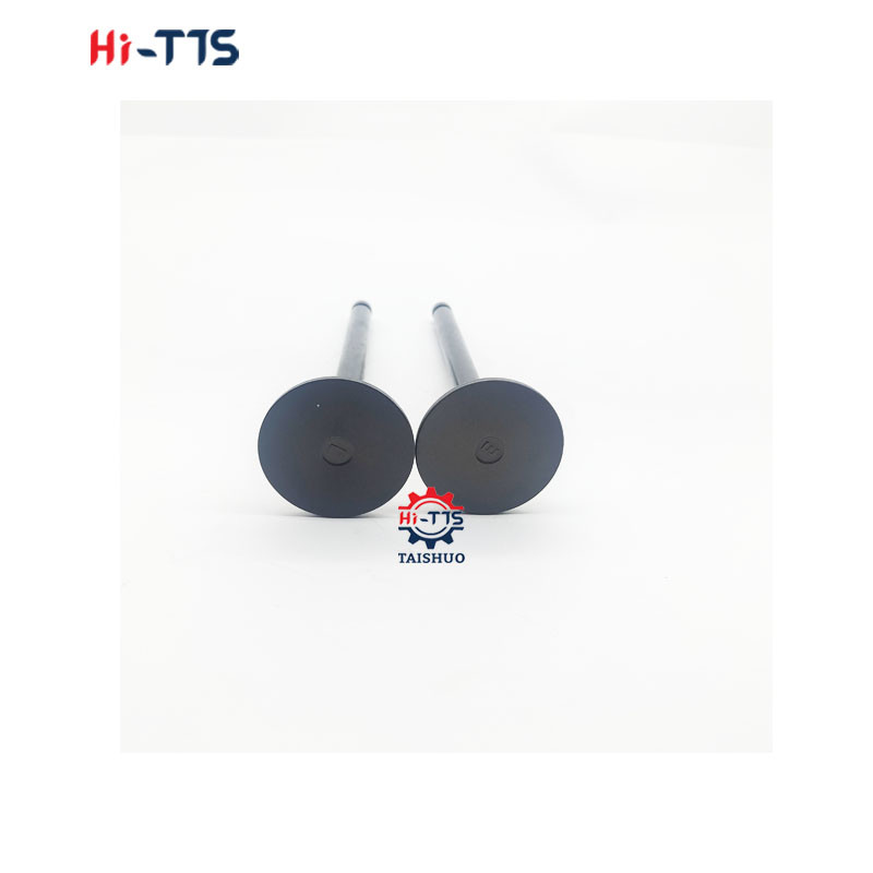 6D22 6D24 Diesel Engine Spare Parts Inlet Exhaust Valve ME051063/ME051064