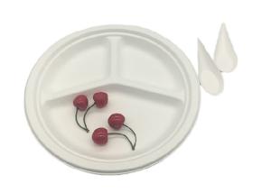 China 9 Inch 16g 100% Biodegradable Sugarcane Bagasse Plates factory