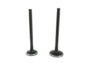 China Scooter Intake and Exhaust Valve for Honda Vision NSC110, Lead 110, NHX110 factory