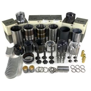 China M11 QSM11 ISM11 QSX15 LT10 N14 For Cummins Rebuild Kit Overhaul Kit Cummins Isx Engine Parts factory