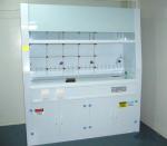Safety Stainless Steel Fume Hood , Chemical Fume Hood 6mm Thick Acid Compact