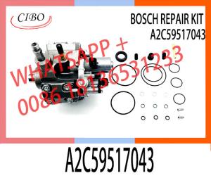 China High quality diesel fuel pump repair kit for vdo pump A2C59517043 factory