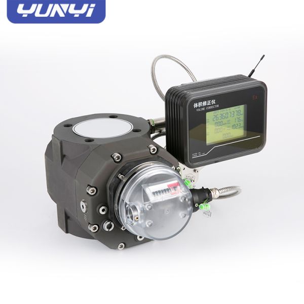China Intelligent Digital Gas Flow Meter with Hard Alloy Bearings and Precision-Processed Waist Wheel for and Smooth Performance factory