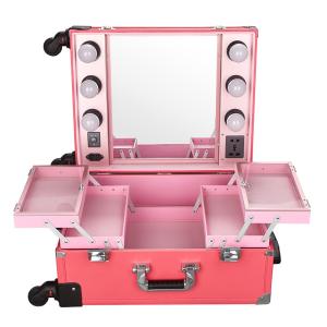 China Rolling Studio Makeup Artist Cosmetic Case Elegant In Design With 4 Wheels factory
