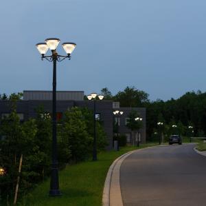 China IP65 Outdoor Solar LED Landscape Pathway Light Solar Garden Lights 3 head lamps factory