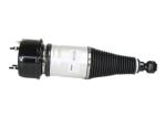 TS16949 Rear Jaguar Air Suspension Kits XJ6 XJ8 XJR C2C41343