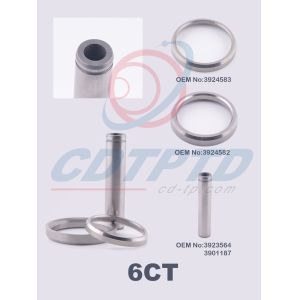 Cummins 6CT Engine Intake Valve Seat 3924583 3924582 With Standard Size