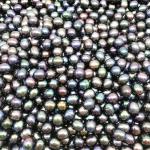 Wholesale AAA Grade 6-7mm and 7-8mm no hole Rice Shape Black pearl Freshwater