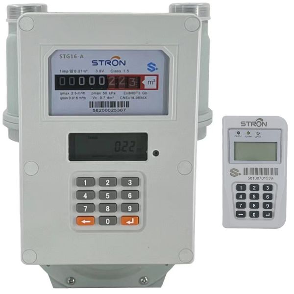 China STS Standard LoraWan Smart Gas Meter Smart Meter for Gas Management factory