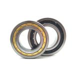NSK NJ2208 M Cylindrical Roller Bearing NJ 2208 40*80*23mm