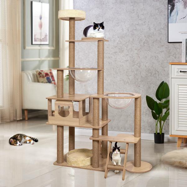 Cat ActivitySeason 4 Seasons Tree Sisal Scratching Posts Wood Activity Cat