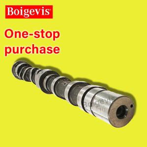 China BOIEGBIS 03C109101CN Camshaft Skoda Fabia/Jingrui factory