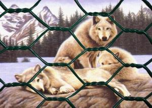 China Low Carbon Steel 0.3mm Powder Coated Welded Wire Mesh 4mm Gabion Hex Wire Netting factory
