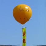 Custom Promotion Inflatable Balloon Advertising Inflatable Balloon Custom