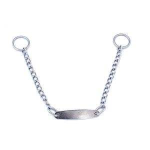 China Pets Choke Training Collar Metal Dog Chain With Name Tag factory