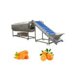 380V Voltage Industrial Stainless Steel Rotary Walnut Washing Machine for