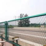 Anping Tailong 3mm Welded Mesh Fencing Heat Treated Bridge Fencing Net