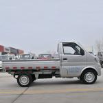 4*2 1 Ton Mini Light Duty Commercial Vehicle Small Cargo Lorry Body Flatbed