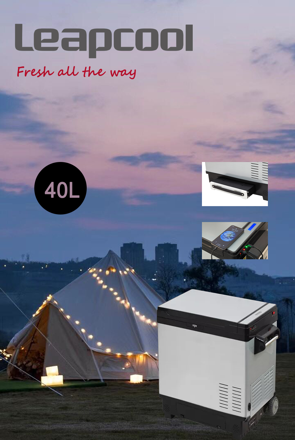 12v 24v Dual Temperature Control Portable 40L Compressor Refrigerator for Truck and Car