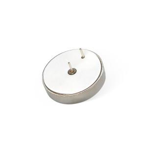 China ER2450 Li-SCOI2 Battery TPMS Battery ER2450T 3.6V 500mAh Lithium Button Cell factory
