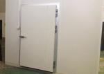 Professional Cold Storage Doors Spring Freestyle / Swing / Hinge Type For