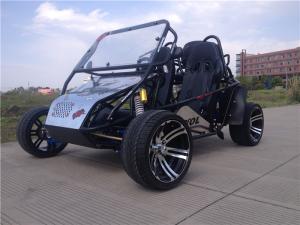 China 8L Oil tank 200CC Go Kart With 2 Seats Automatic Transmission factory