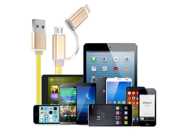 High Speed 2 In 1 USB Li Ion Battery Charger Mobile Charger Usb Cable 100mm Length