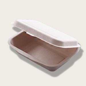China 450ml Pulp Lunch Box Eco Friendly Takeaway Containers Water Resistance factory