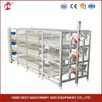 Q235 Steel Poultry Farming Equipment H Type Automatic Pullet Brooding Cage Mia
