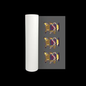 China 60cm 33cm 30cm Width Heat Transfer PET Film For DTF Printing factory