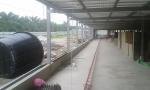 AiSi ASTM Steel Poultry House Steel Structure Chicken House Customized