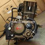 300cc Water Cooled Gasoline Engine Torque 19.5/5000 1 Cylinder 4 Stroke Gasoline