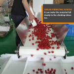 Clamshell Fresh Fruit Vegetable Packing Machine Kale Spinach Cherries Strawberry