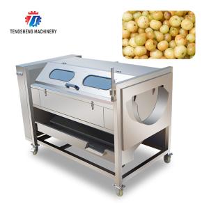 China Brush Potato Washing And Peeling Machine SS Commercial Vegetable Sealing Cover Type factory
