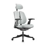 Posture Ergonomic Office Chair