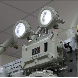 China ATEX Certified 6W Explosion‑Proof Twin‑Head Emergency Light – Wall‑Mounted, IP65, Class I/Zone 1 &amp; 2 factory
