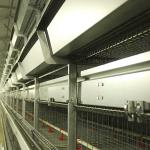 Poultry Farming Chicken Cage Wire , High Temp Resistant High Tech Chicken Cage