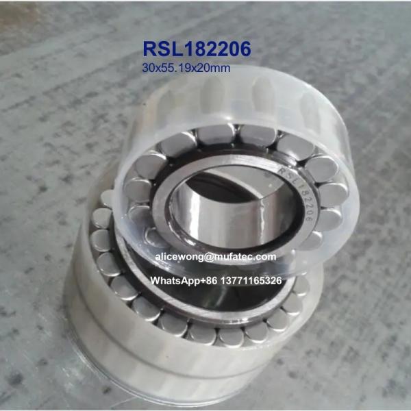 China RSL182206 printing bearings full complement roller bearings 30x55.19x20mm factory