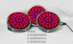 Single 3w chip led grow light,150W,300W