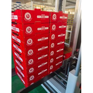 1210X Multifunctional Fully Automatic Box Folding Machine