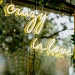 Custom 110-240V LED Acrylic Signage Decorative Outdoor LED Neon Signs