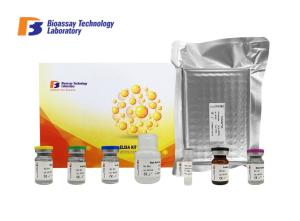 China Customized Canine ELISA Kits Glutathione Peroxidase 1 96 Well Plate 0.56ng/Ml Sensitivity factory